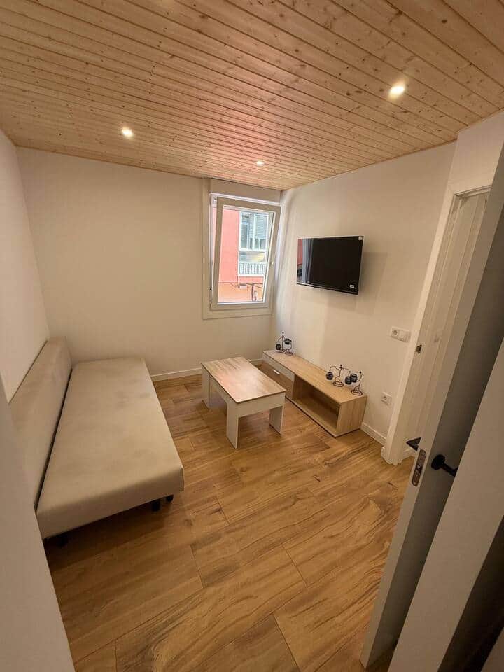 Salón con sofá cama, TV y techo de madera