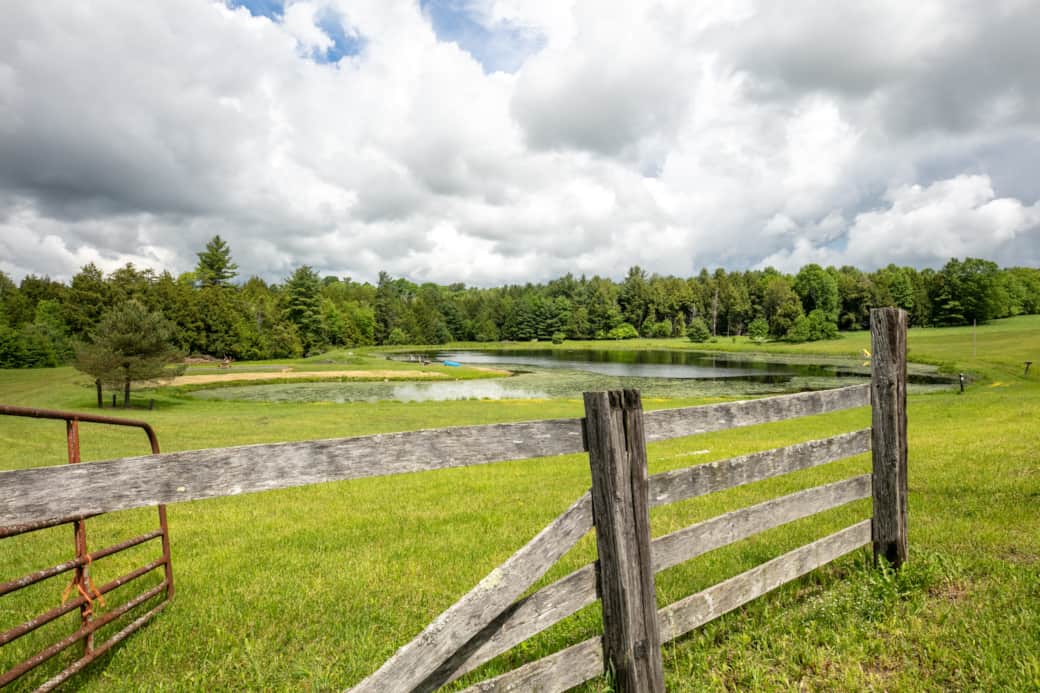 Serene view of private pond from Family Ties Farmhouse