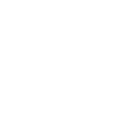 Basi Studio
