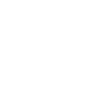 Basi Studio