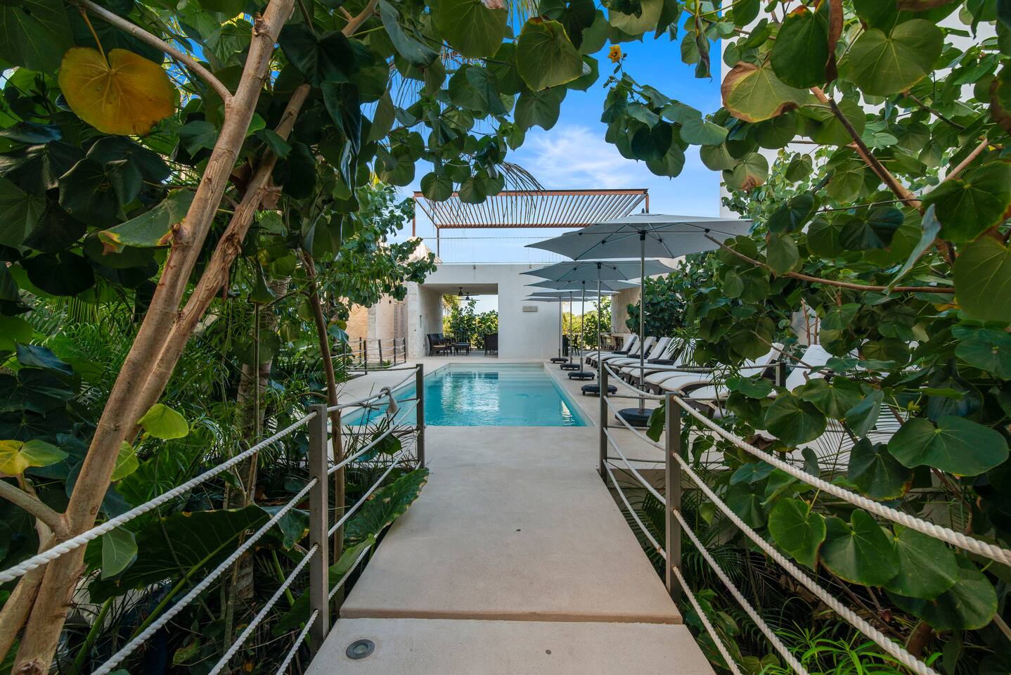 Follow the winding trail through lush jungle foliage to discover our tranquil pool oasis nestled amidst nature's embrace.