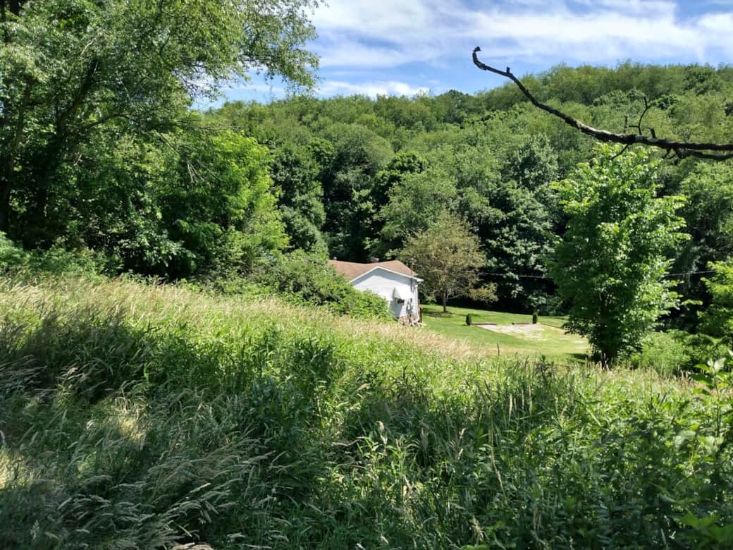 View of House and WIld Life Area