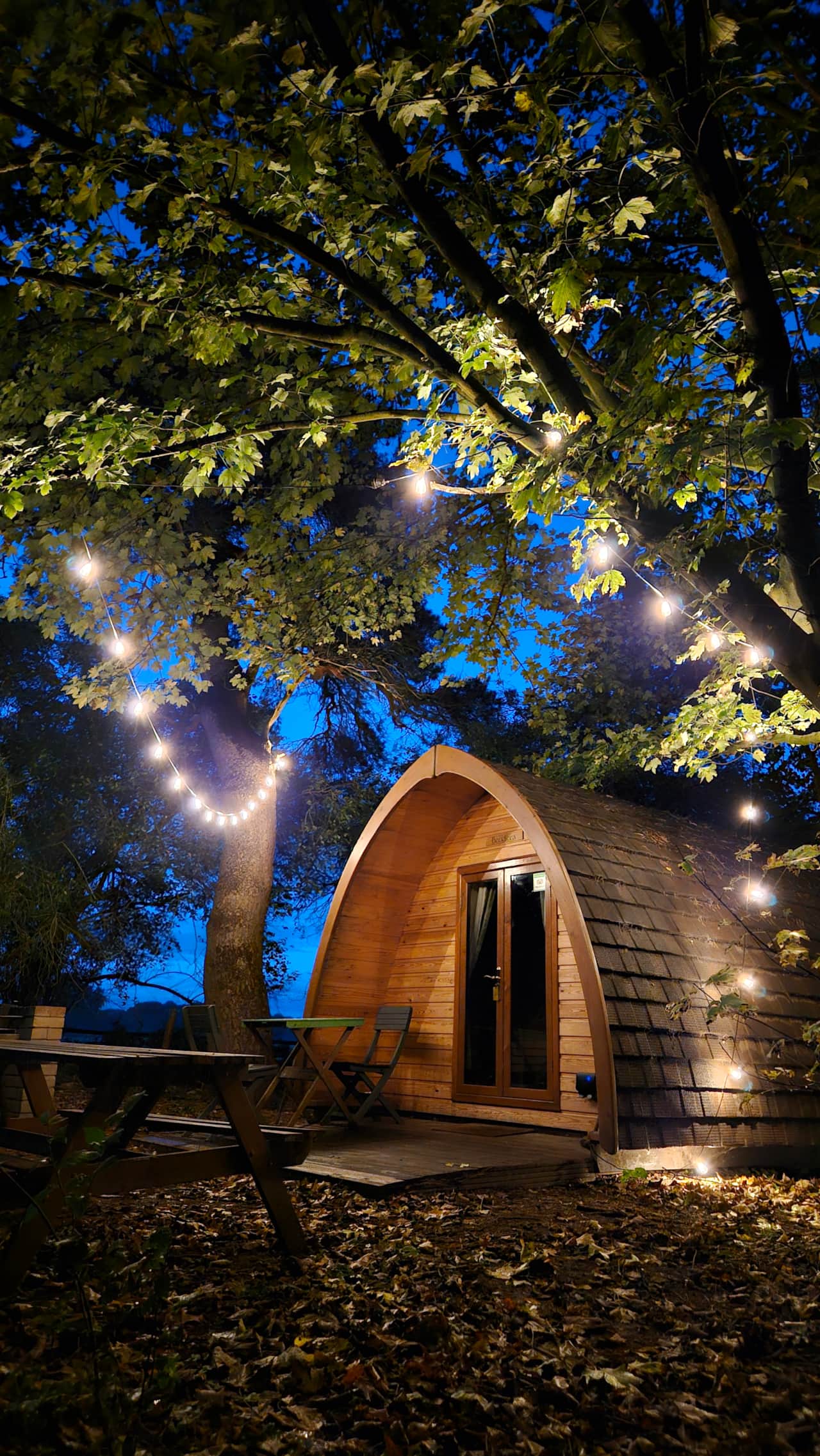 Fairy Lights in Boudicca