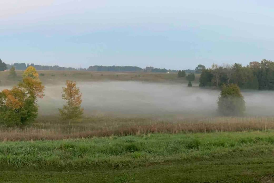 Looking out over the pastures from the porch on a foggy night Looking out over the pastures from the porch on a foggy night
