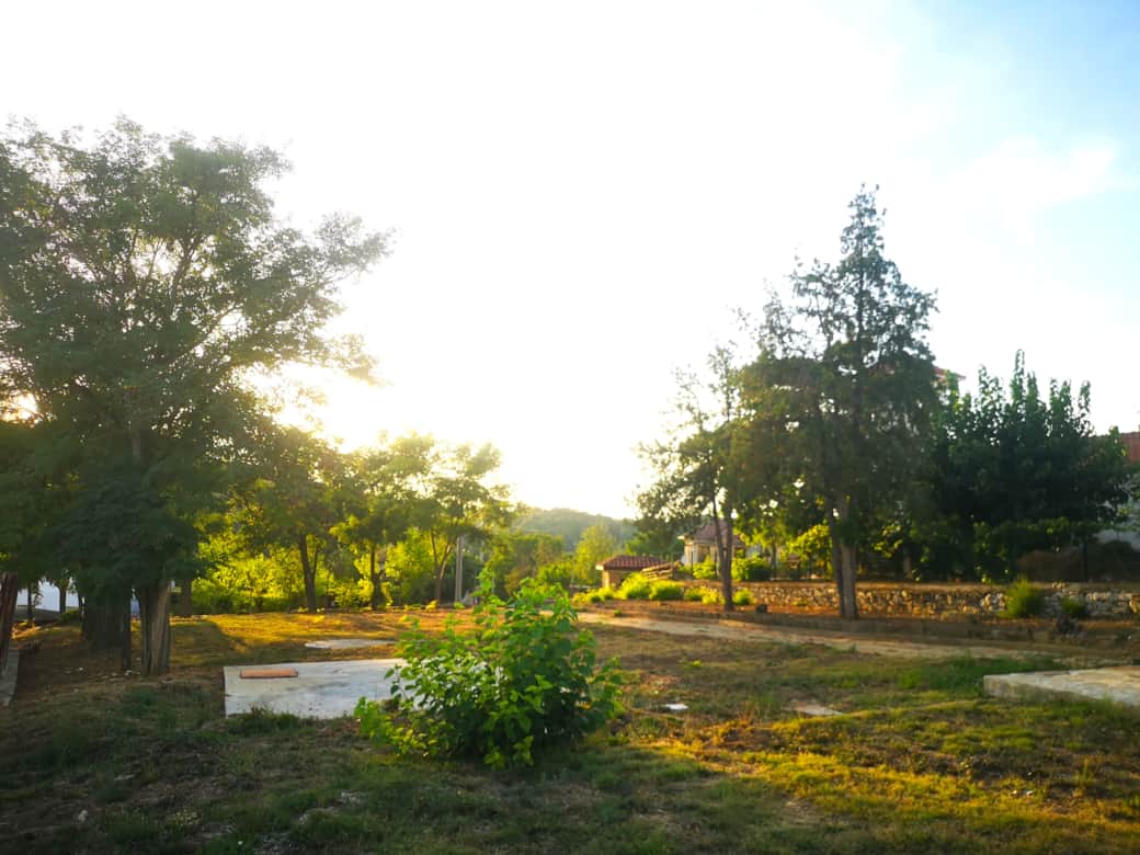 Garden of Villa 1931