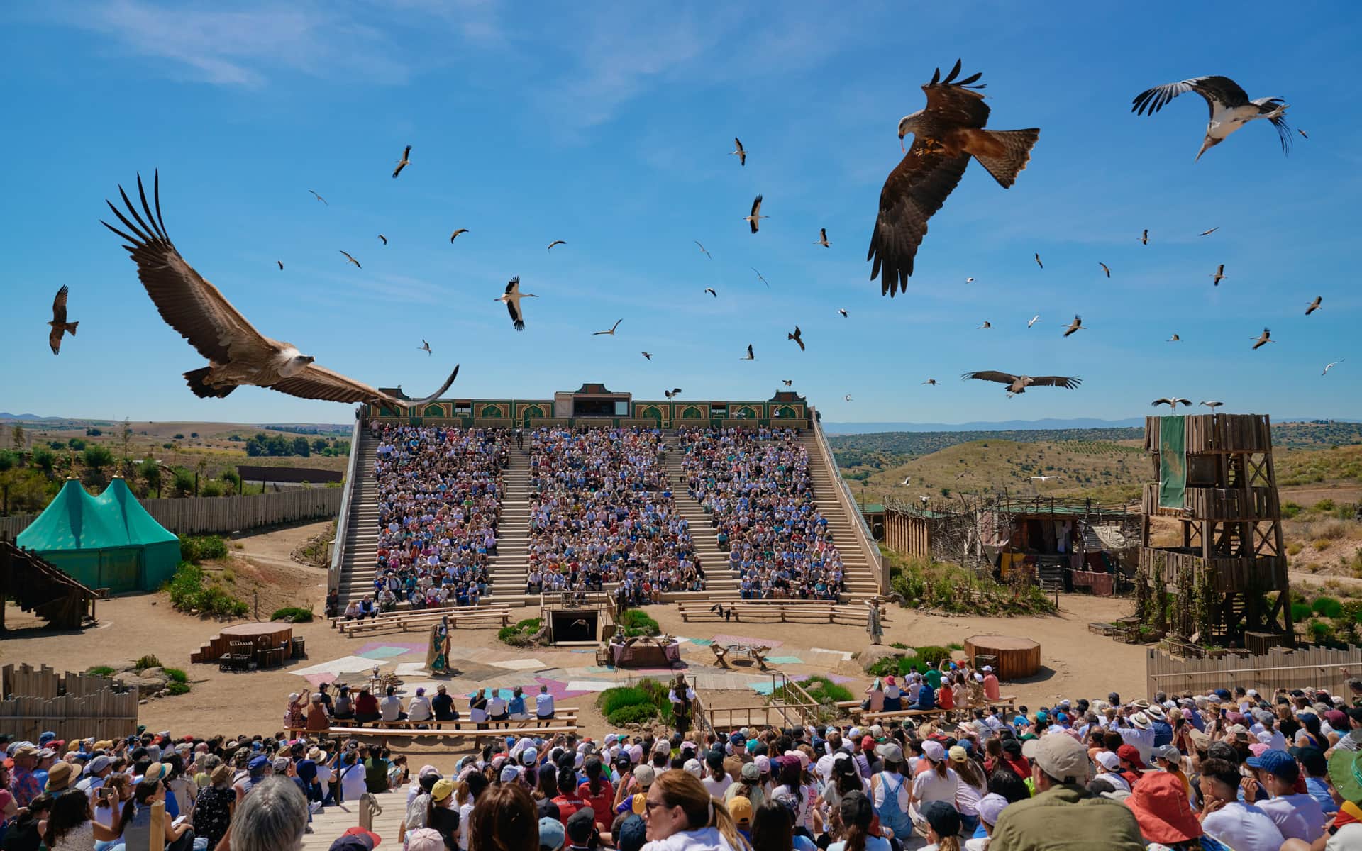 Espectáculo de cetrería en Puy du Fou España cerca de La Casita de Ale en Toledo