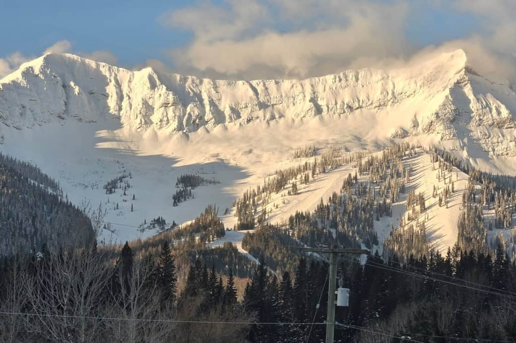 Lizard Bowl Fernie.