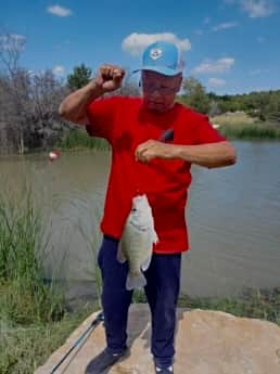 Lake Godstone Crappie