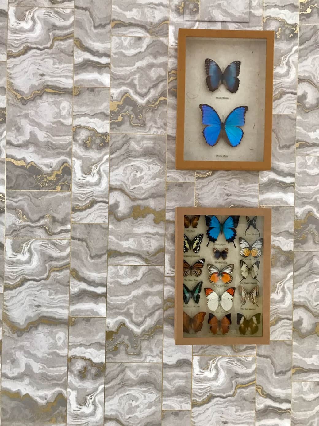 Detalle mariposas