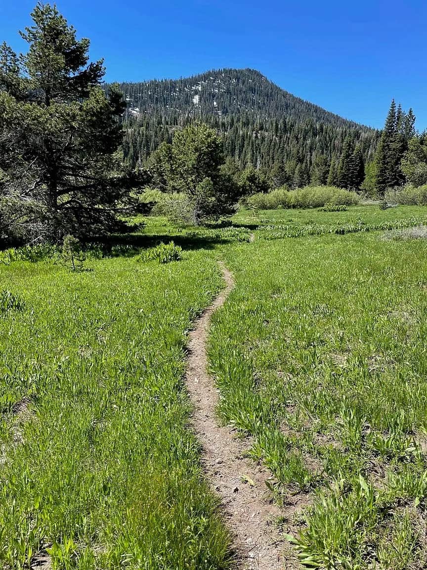 Trails