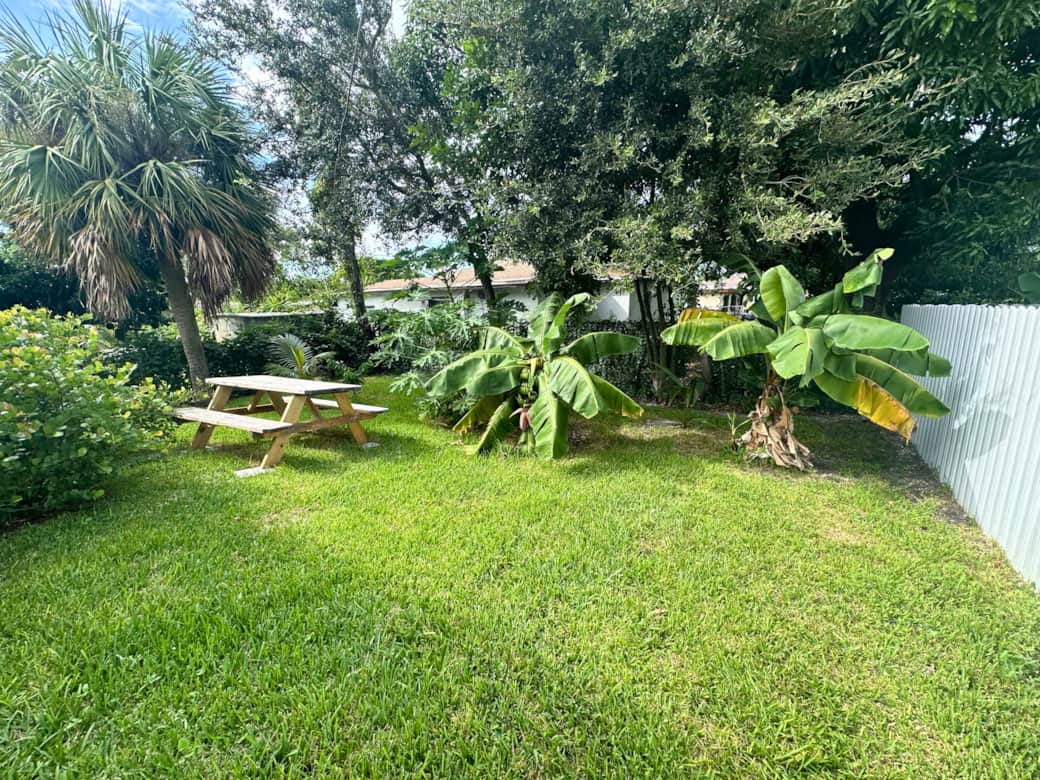 Backyard – Lush green yard, perfect for relaxing outdoors.