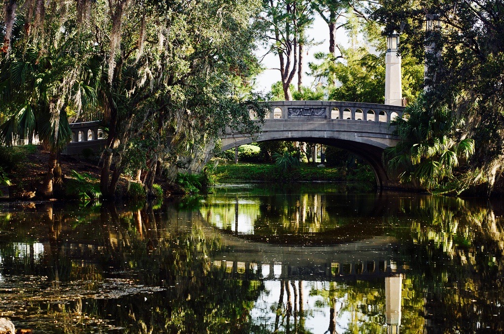 A serene exterior view of a bridge over a body of water surrounded by lush greenery.