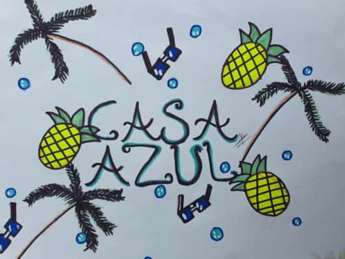 CASA AZUL