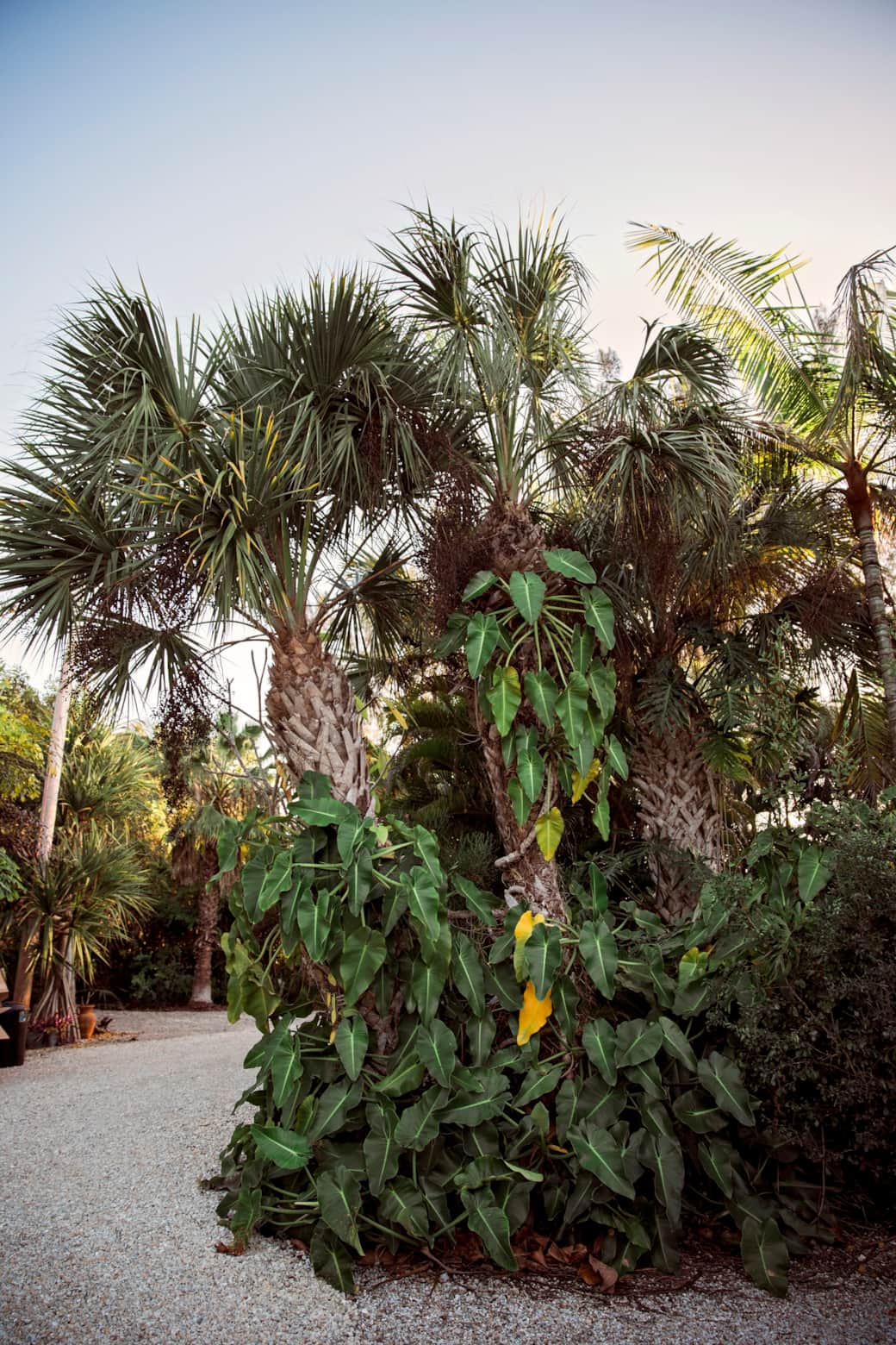 Sanibel_Beach_Cottages_012