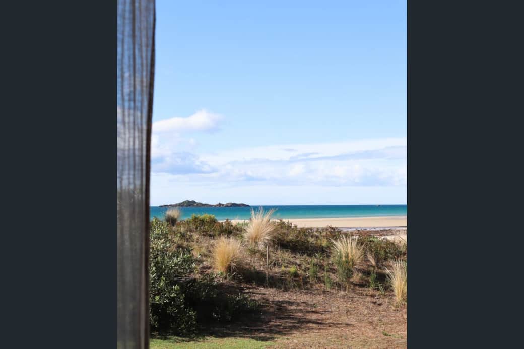 Beach / Backyard