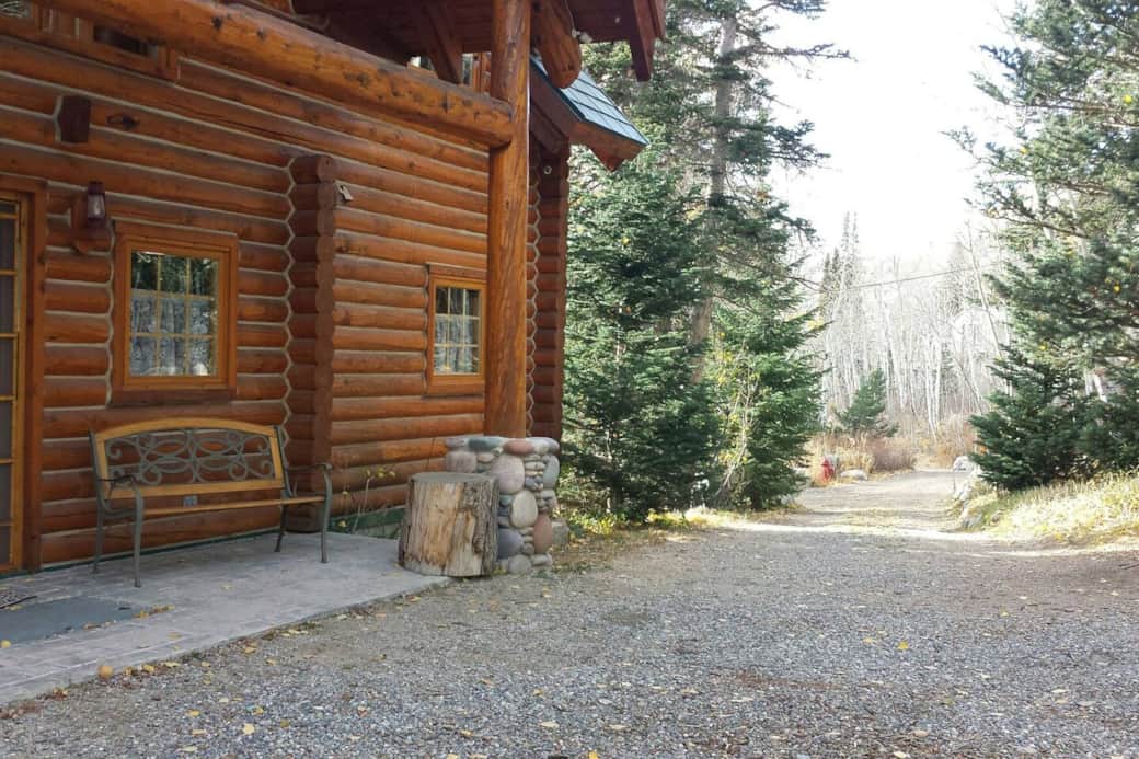 View from the front of the cabin looking down the driveway View from the front of the cabin looking down the driveway