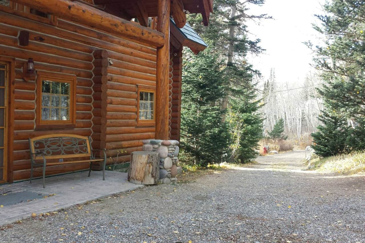 View from the front of the cabin looking down the driveway