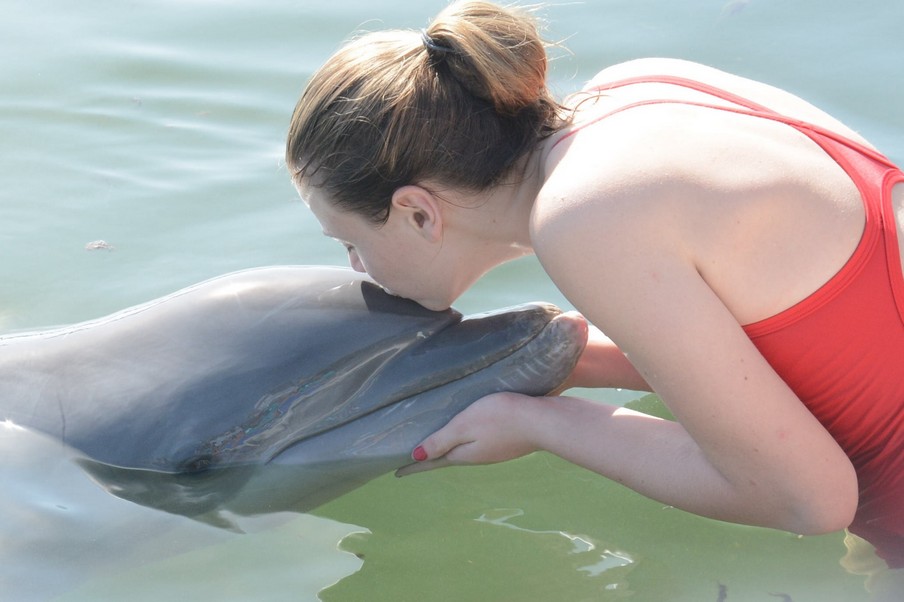 Dolphin Center
