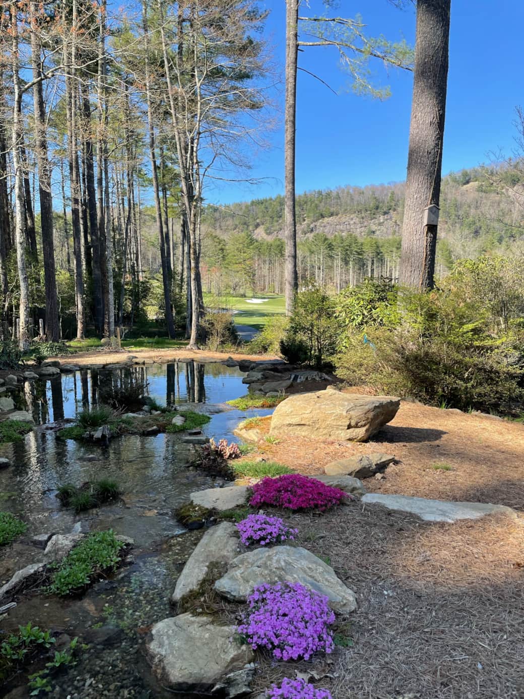 KOI POND