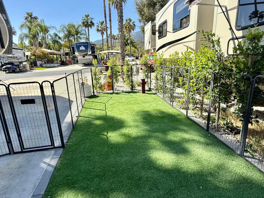 Fenced dog run