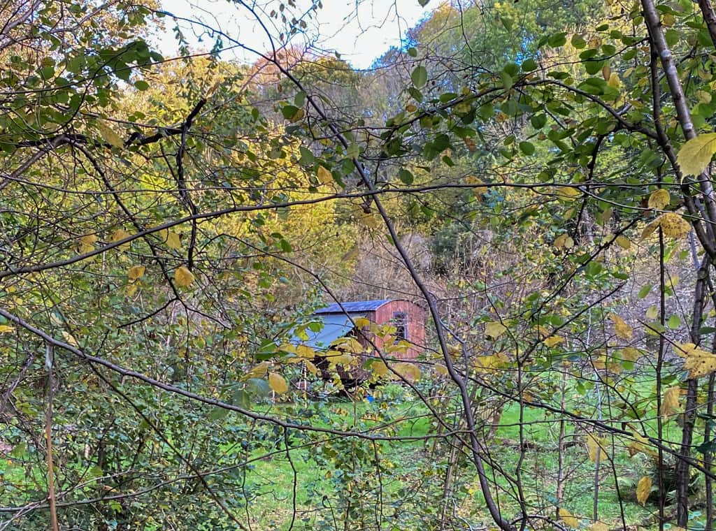 Abberleyglamping