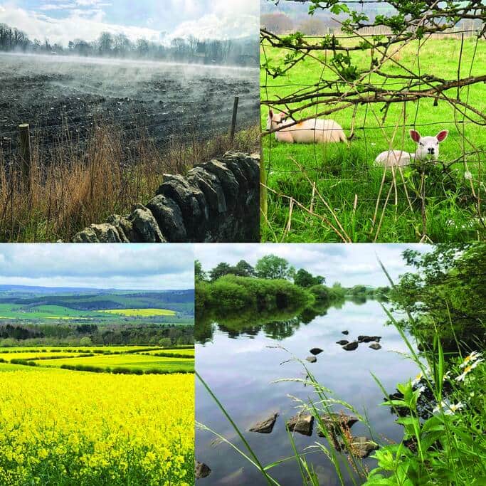 Country Walks - no car needed.