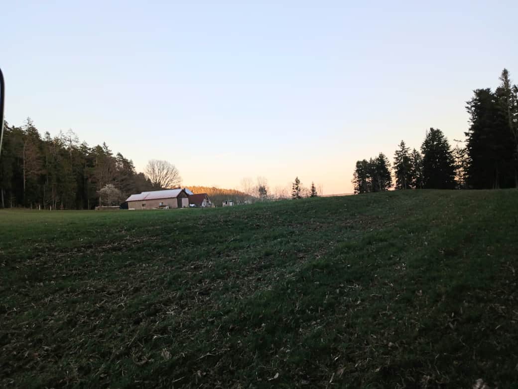 Stellplatz am Waldrand mit Sicht auf unseren Hof 