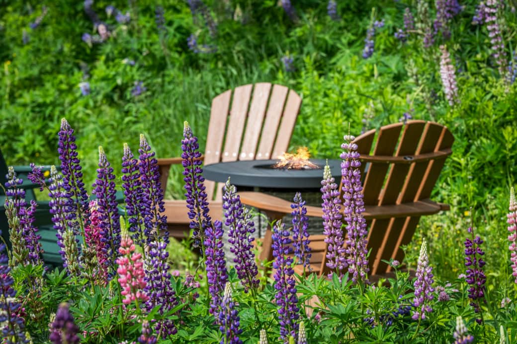 A firepit and blooms for a perfect summer. A firepit and blooms for a perfect summer.
