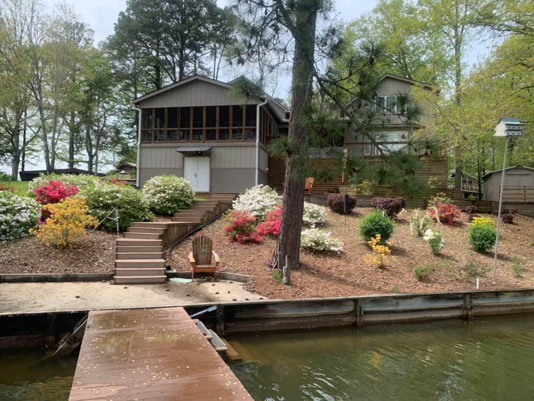 Waterside during spring