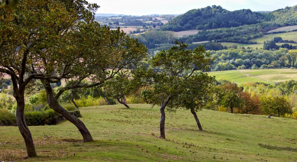 Abberleyglamping