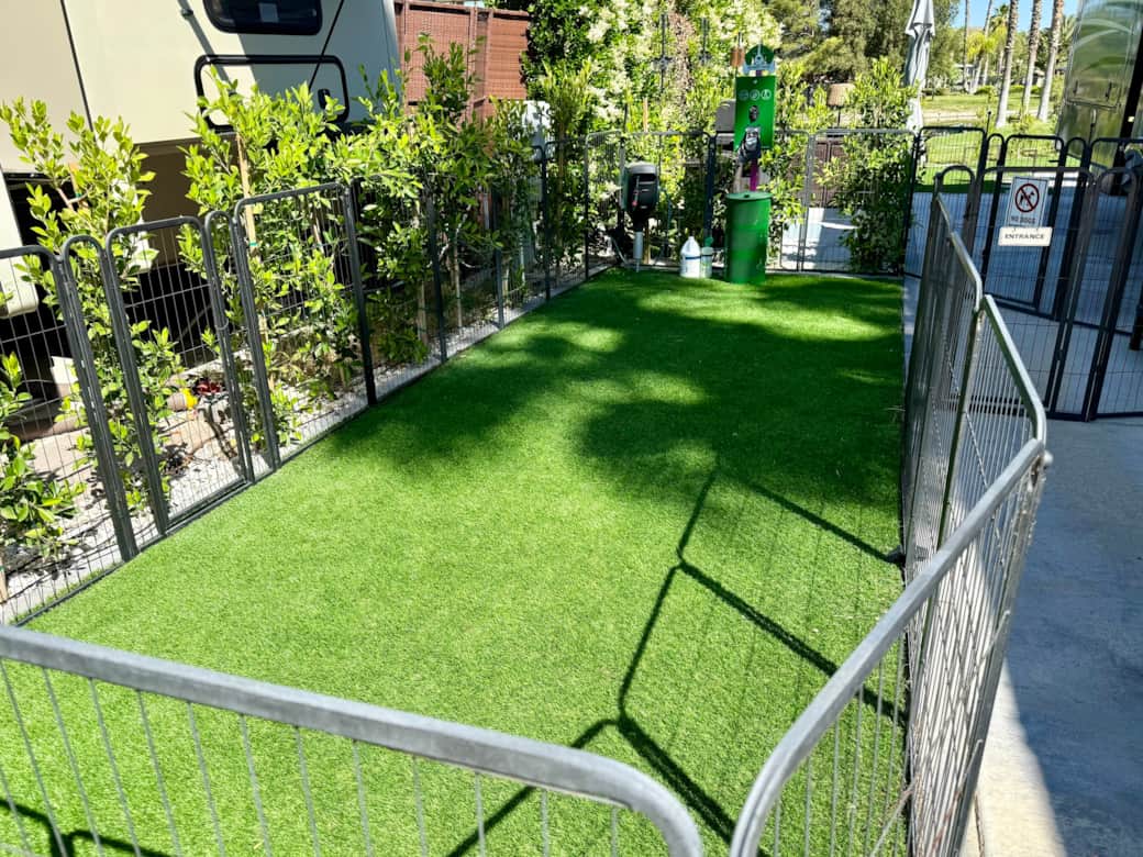 Fenced dog yard3