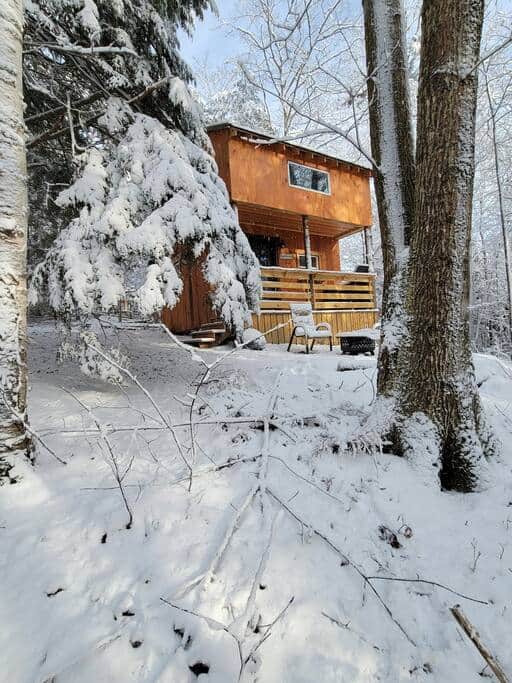 The quiet beauty just after a snowfall.