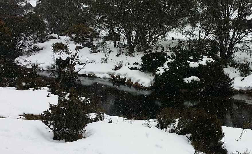 Thredbo River