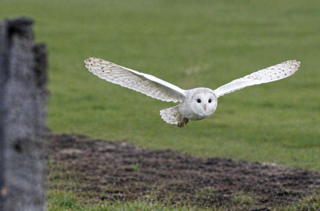 Up close with nature