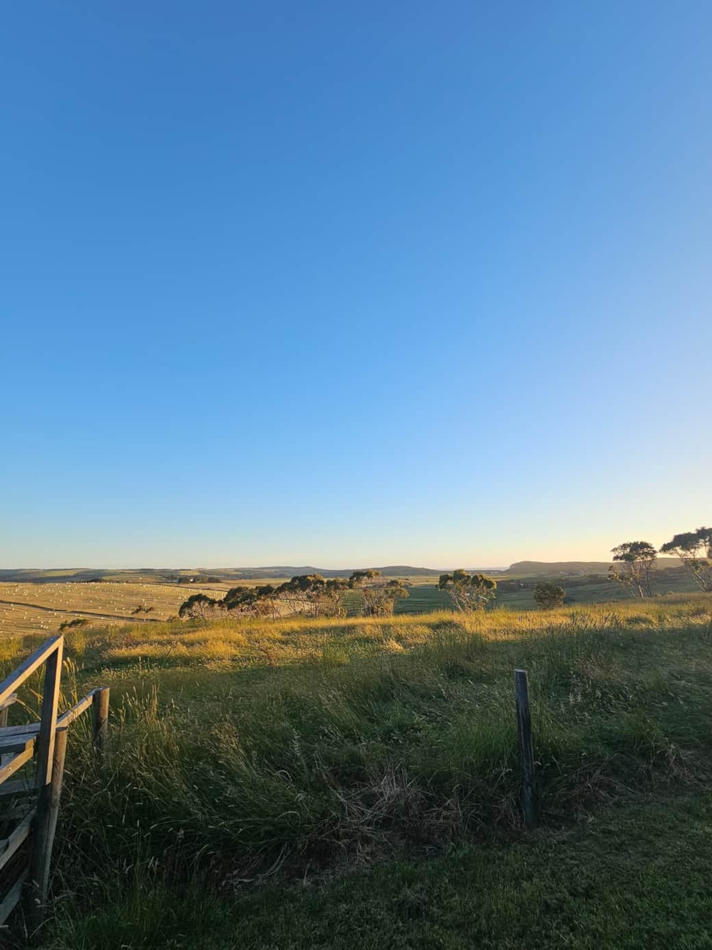 Hills view