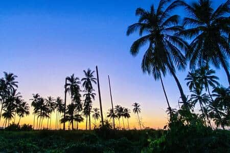 Ec6af4c8 bf77 4ec2 a7b8 a26f8c5f21b9 Ec6af4c8 bf77 4ec2 a7b8 a26f8c5f21b9