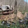 Rental image