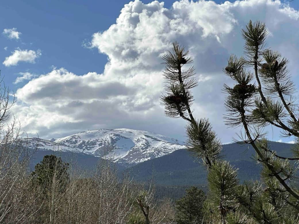 View off the back deck of Mt Rosalie 