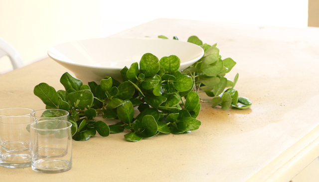 Robe, South Australia