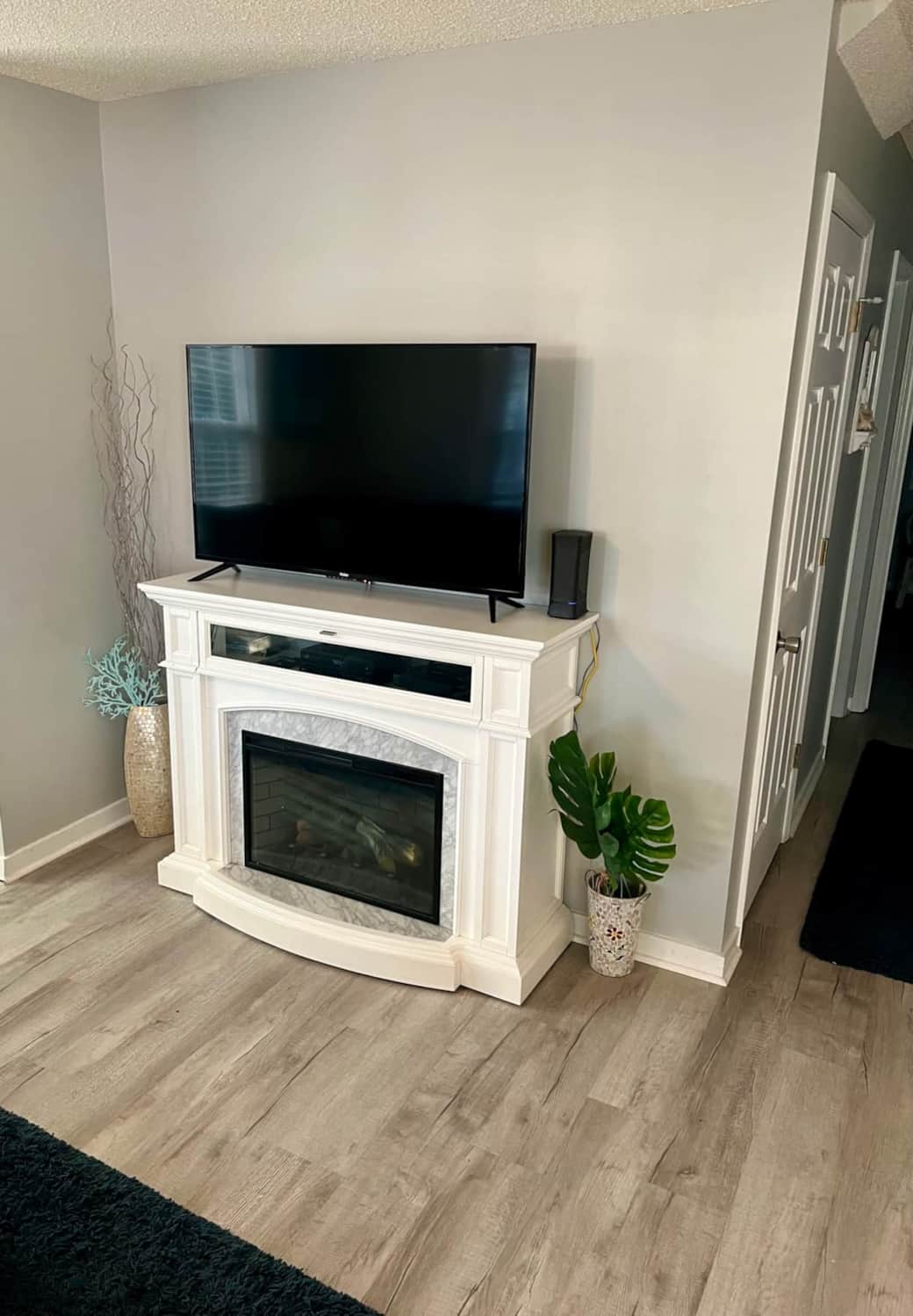 Electric fire place
