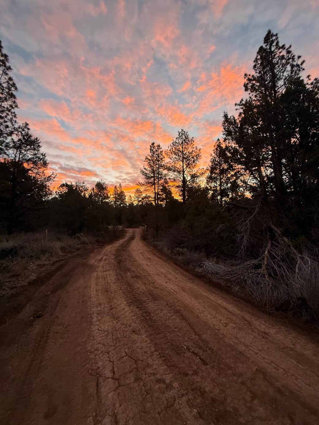 Arrive off the beaten path via scenic dirt roads that lead you through striking views and into your private retreat.