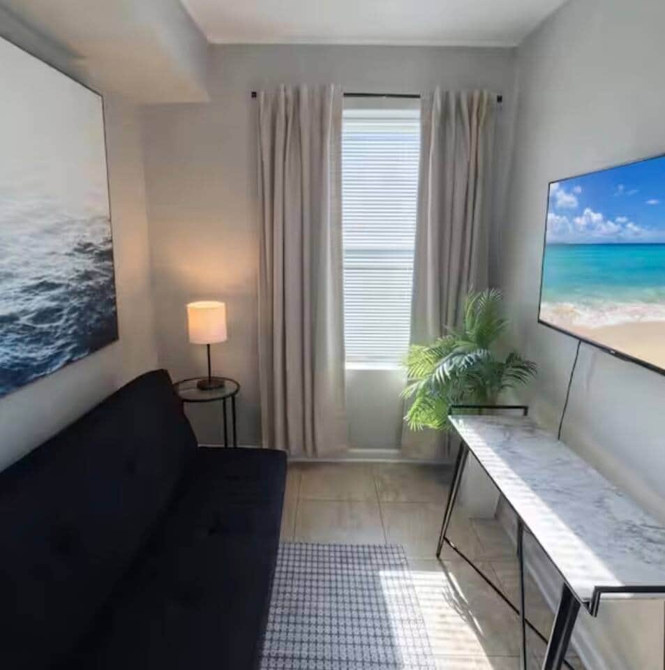 this living room has a futon sofa bed, a flatscreen TV and a blackout curtains.