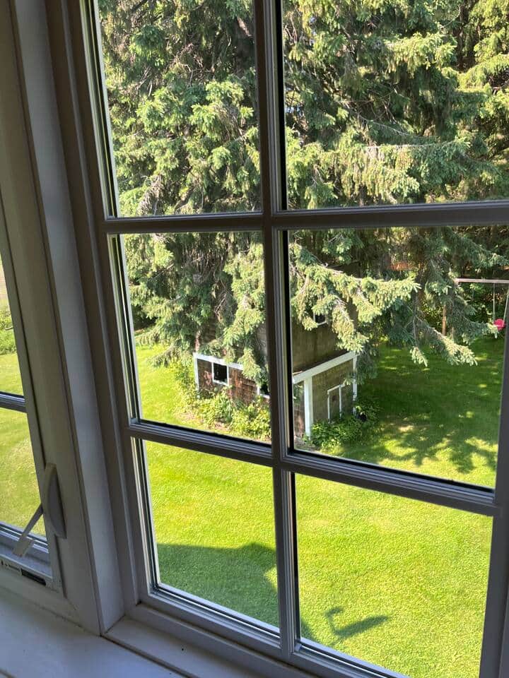 Twin bedroom overlooks a 3 story tree house built aroung a hug spruce tree. Magical Lake views.