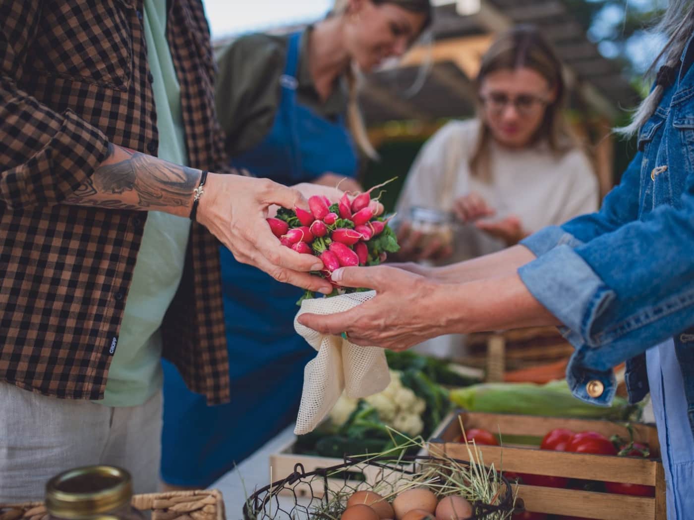 Fresh radishes changing hands at a summer farmers market