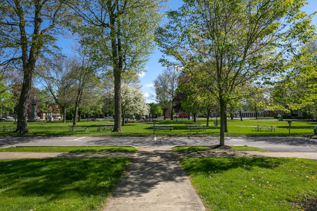 View of the park in the spring time
