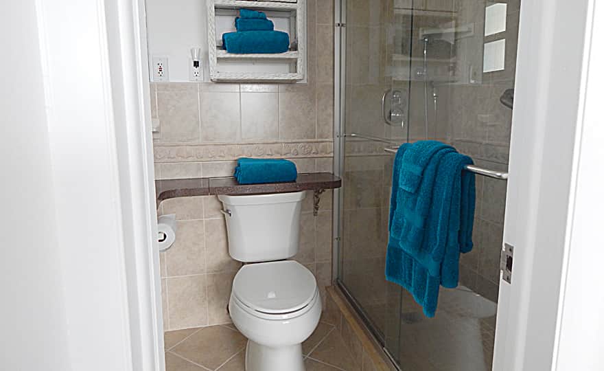 Unit #20 - Walk-in Shower. (Please note, there is no bathtub in the unit).