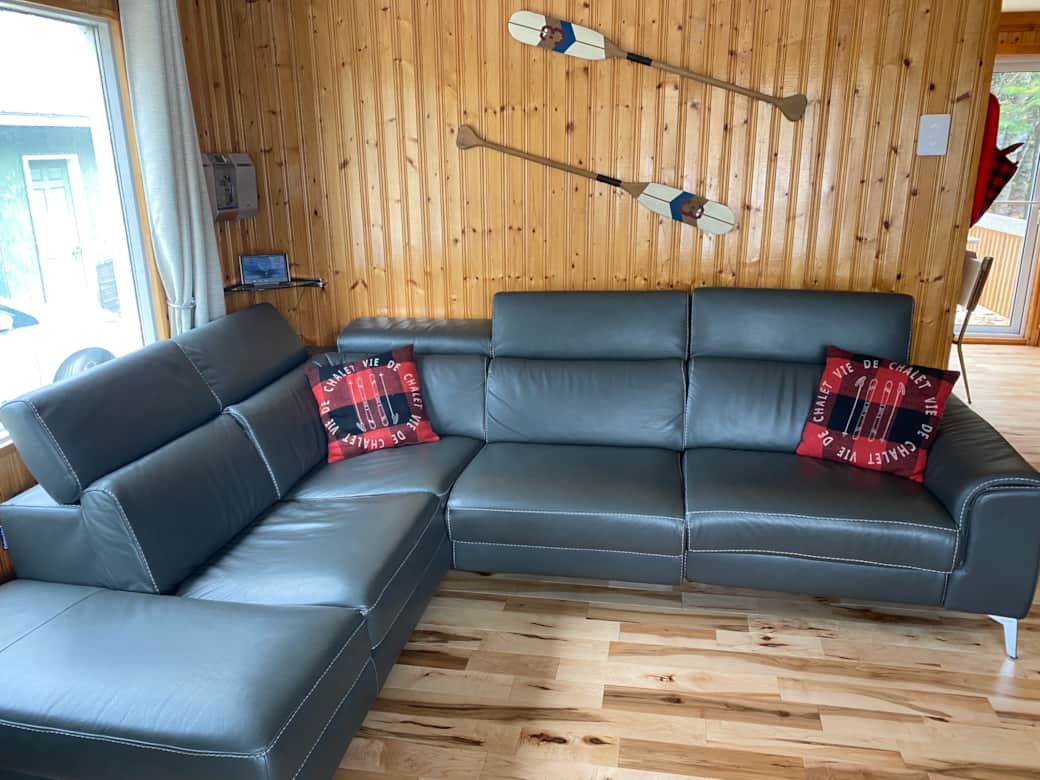 Sofa de cuir salon