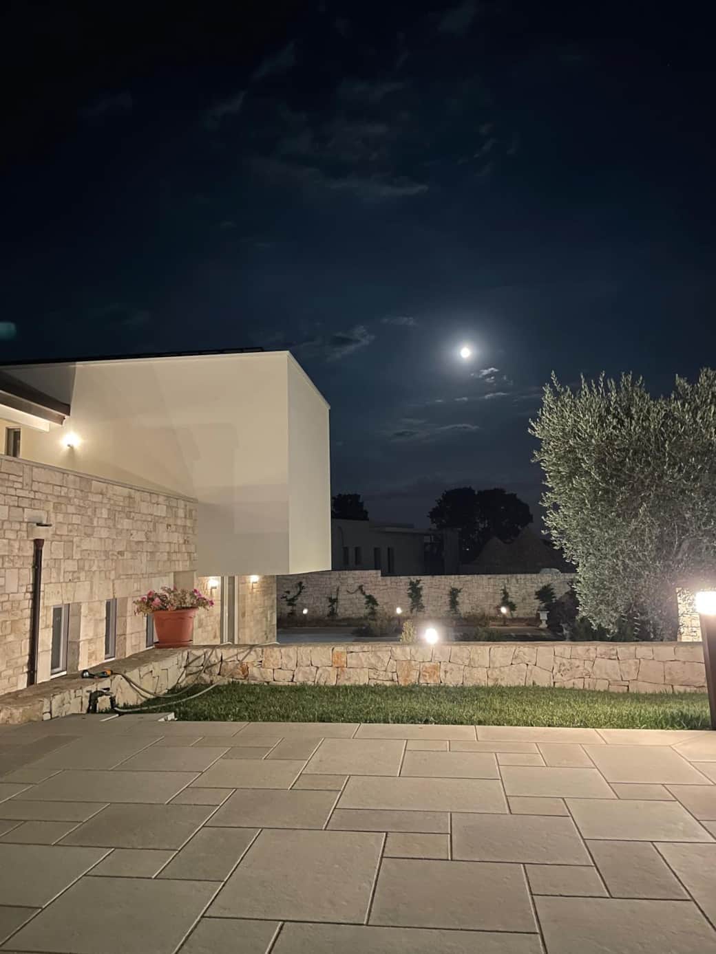 WhatsApp Image 2025-01-13 at 10.39