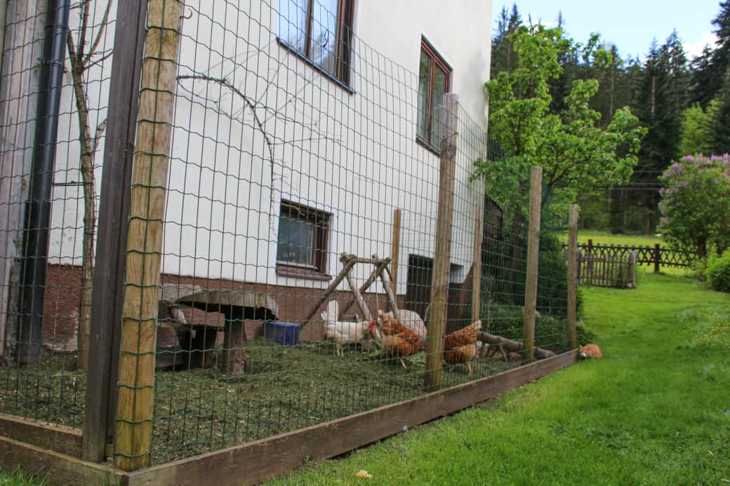 Hühnerstall