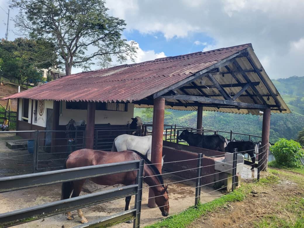 Farm Stable